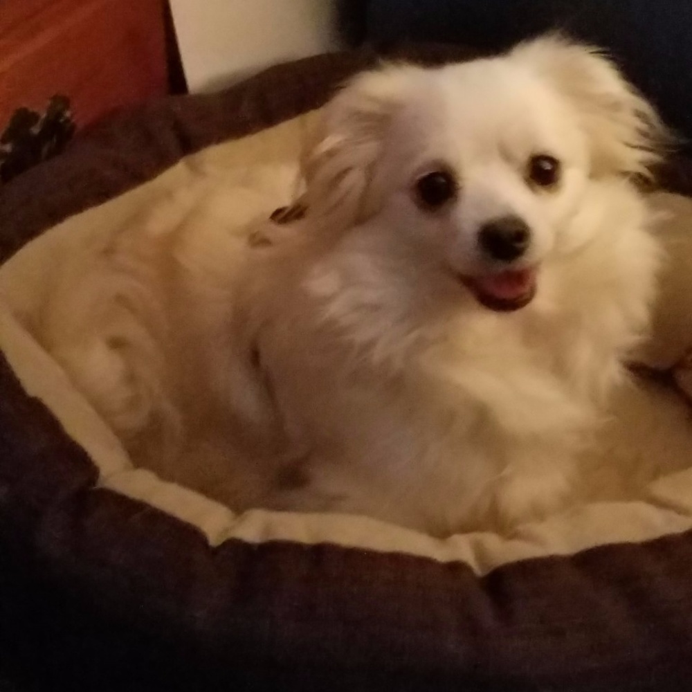 Meet your Posher, Maryellen